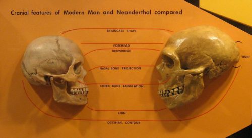 La prova dell’incrocio fra Neanderthal e Sapiens