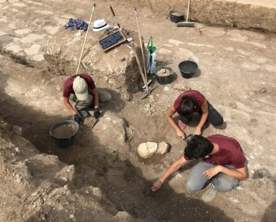 Una comasca ad Aquinum