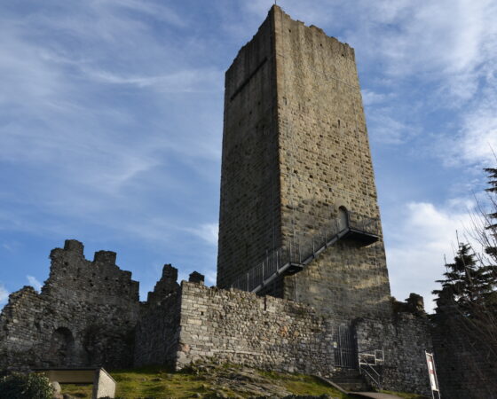 Incontri di aggiornamento archeologico on-line