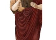PLINIUS ARRIVA A BRIOSCO