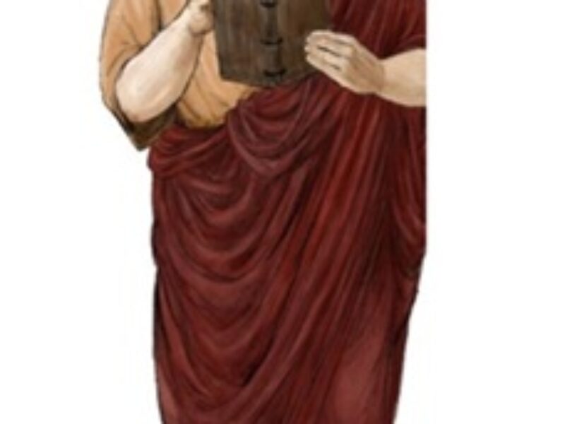 PLINIUS ARRIVA A BRIOSCO