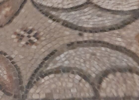 Scopriamo il mosaico